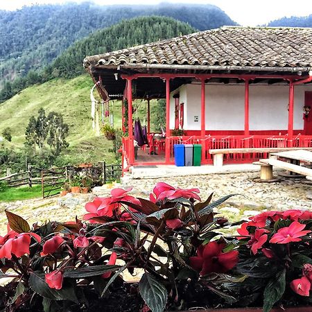 Hostal La Laguna Villamaria Bagian luar foto